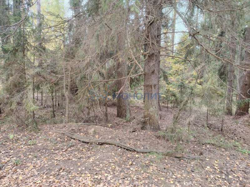 земельный участок 2 107 соток - деревня Бушнёво